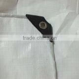 PLASTIC PE TARPAULIN 100% Virgin New Raw Material Custom Size All Purpose High Tensible Striped Hem Prenvent uv Tear-resisntant thumbnail-1