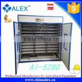 2016 newest style eggs incubator for hatching poultry eggs AI-5280 from china manufacturer