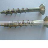 Stainless Steel Screw