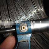 Electro Galvanized Wire