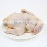 Halal Whole Chicken,grade AA
