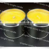 Holiday Celebrate Outdoor Cintronella Candle/scented Candle