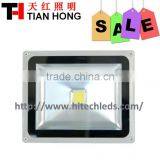 Hot-sale 50 Watt Outdoor Floodlight Housing With COB