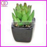 Mini Artificial Succulent for Sale thumbnail-4