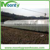 Agricultural Greenhouse thumbnail-6