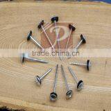 China Unbrella Head Roofing Nails With Rubber Washer thumbnail-1