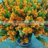 Artificial Plant Natural Collection