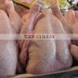 FRESH FROZEN CHICKEN thumbnail-3