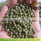 Small Size Green Mung Bean thumbnail-1