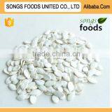 Exports Egyption Snow White Pumpkinseeds New Crop thumbnail-1