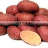 Red Potatoes