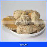 Buyer of Ginger