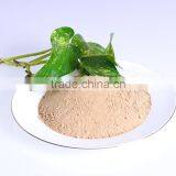 Animal& Plant Source Amino Acid Powder thumbnail-3