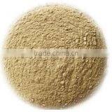 Angel Alpha Amylase Enzyme Manufacturer thumbnail-2