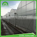 Low cost/high tunnel agricultural poly greenhouse for vegetables