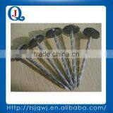 Galvanized Foof Nail Umbrella Head Zinc Corrugated Roofing Nail thumbnail-1