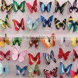 Butterflies Magnet for Refrigerator thumbnail-1