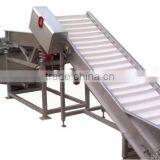 Hoist Vegetable Cleaning Production Line Kind of Leafy Root Vegetables Cleaning Equipment thumbnail-1