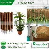 Coco Stake Growing Support thumbnail-1