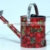 Watering can, (Strawberry)MSO-006