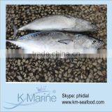 2014 New Product Single Cleaning Bonito Fish lot number#kmw4345