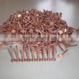 Copper Clout Nails thumbnail-1