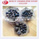 Fermented Solo Black Garlic and Turmeric Tablet From China thumbnail-1