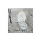 Intelligent Toilet Seat thumbnail-1