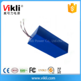 Deep Cycle 12v 60ah Lifepo4 Battery Pack Lithium Ion Battery