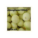 Peeled Onion thumbnail-1