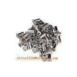 China Steel Blind /round Body Closed Type Rivet Nuts