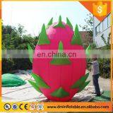 12 feet huge inflatable pitaya for sales promotion