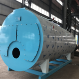 Food Processing Steam Boiler Wns2t Gas Boiler Manufacturer Direct Sales thumbnail-4