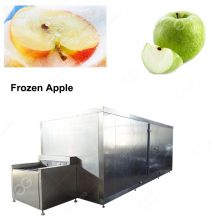 Stainless Steel  Frozen Food Machinery/Apples IQF Tunnel Freezer Price