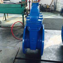 PN25 DIN F4 Non-rising Stem Resilient Seated Gate Valve thumbnail-4