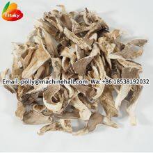 High Quality Dried Oyster Mushrooms Wholesale Price thumbnail-2