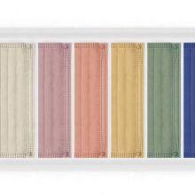 3 Ply Type I Medical Disposable Mask (Morandi Series) CE Marked and Meets the Requirements of EN14683:2019 Type I thumbnail-2