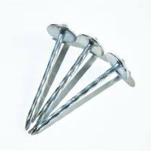 Roof Nails With Cap Umbrella Type Head Roofing Nails thumbnail-5