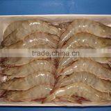 FROZEN WHITE SHRIMP thumbnail-2