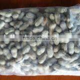 IQF Peanut With Best Quality