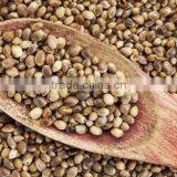 Pure Hemp Seeds Oil thumbnail-2