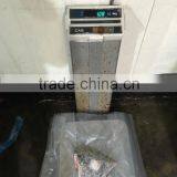 Tuna Head thumbnail-3