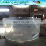 indoor curved panel fish tank