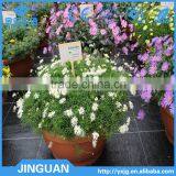 Weed Mat thumbnail-1