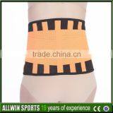 Waist Protector Ladies Elastic Stretch Waist Belt thumbnail-2