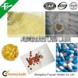 Gelatine/Gelfoam/Purage/gelatin/medical Gelatin