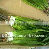 Handmade Leaves Bush