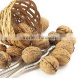 2012 Fresh Sweet Walnut Panic Buying