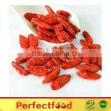 Goji Berry LYCIUM BARBARUM thumbnail-2