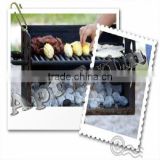 Manufacturer of Ecological Charcoal Briquettes for Barbecue
